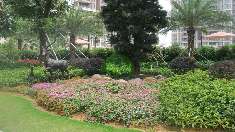 反季节苗木种植成本高吗