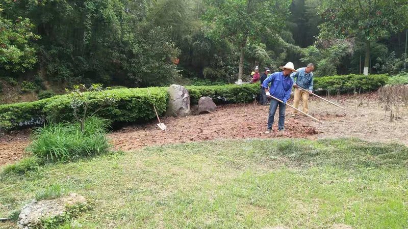 屋顶草坪养护注意事项：从生根到繁茂的守护之道