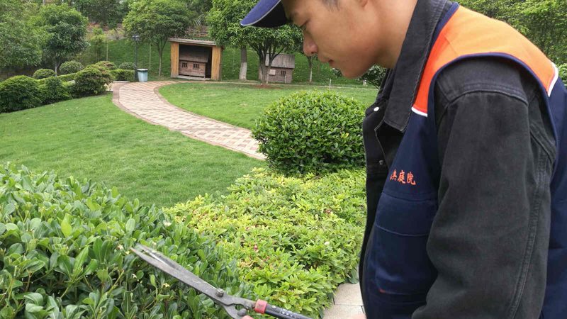 绿化工程包工包料多少钱一平方