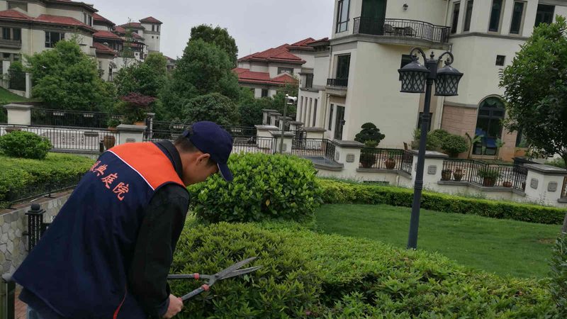 如何选择优质的苗木种植技术视频教程**
