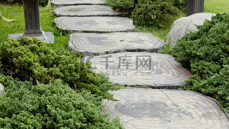 苗木种植技术视频教程，在线学习新选择**
