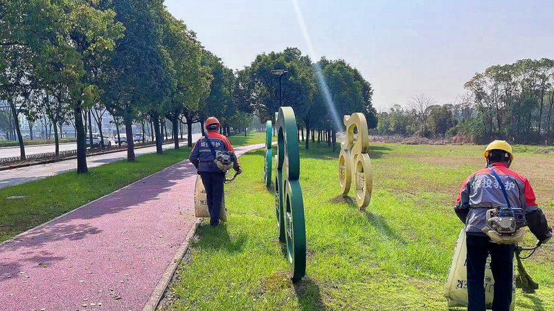 人工草坪铺设：加盟代理的投入与收益解析**