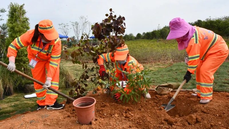 道路绿化带排水设计：优缺点解析