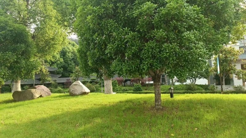 园林景观投标书材质描述范例：精准表达，助力投标成功