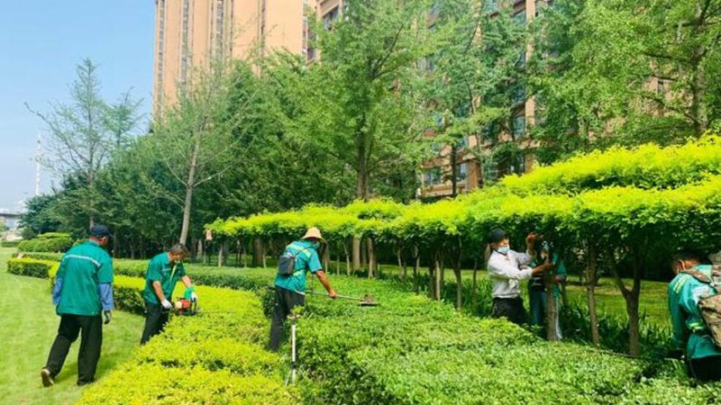 草坪铺设前地基处理规范全解析